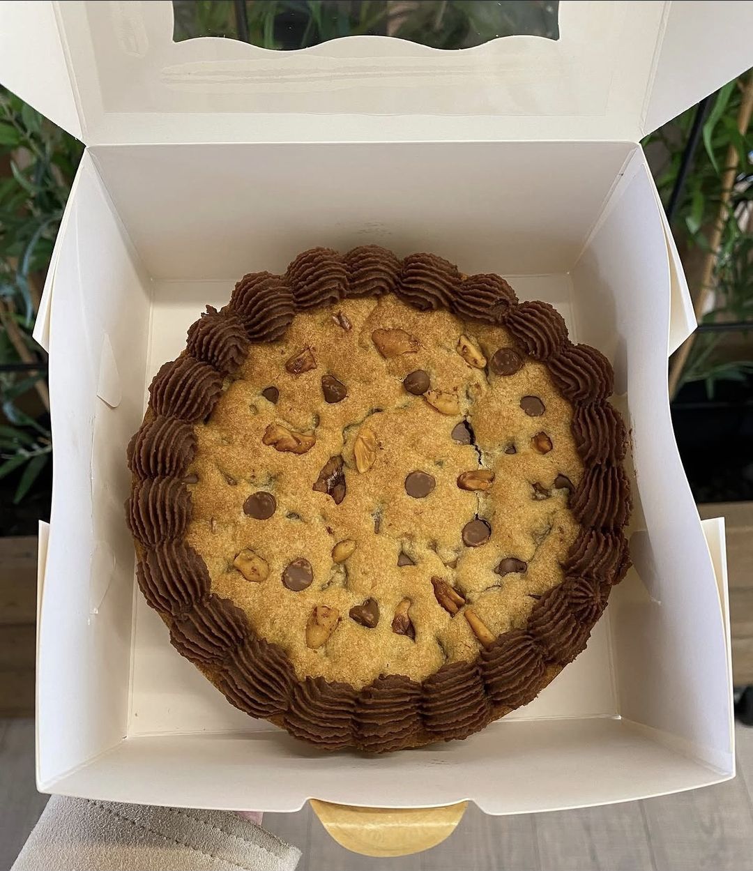 Chocolate chip and walnut cookie cake with a piped chocolate border, in a white box
